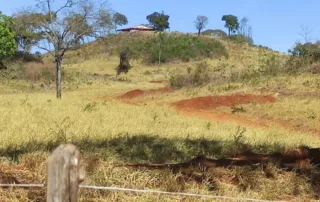 07-fazenda-municipio-de-niquelandia-614-hectares