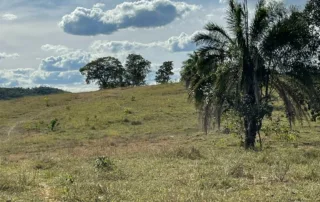 07-morro-agudo-go-200-alqueires-my-broker-fazendas