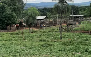 Uruana – GO – My Broker Fazendas