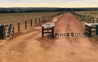 07sao-miguel-do-araguaia-280-alq