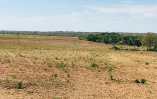 07sao-miguel-do-araguaia-380-alq