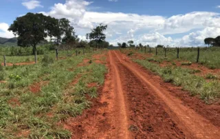 08-fazenda-municipio-de-niquelandia-614-hectares