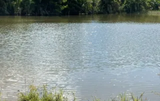 08-morro-agudo-go-200-alqueires-my-broker-fazendas