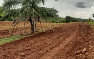 Uruana – GO – My Broker Fazendas