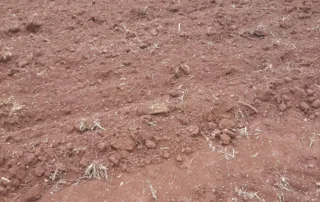 Uruana – GO – My Broker Fazendas