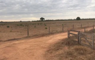 09sao-miguel-do-araguaia-280-alq