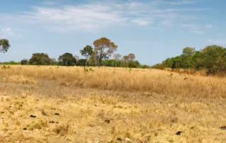 09sao-miguel-do-araguaia-380-alq