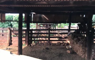 10-fazenda-municipio-de-niquelandia-614-hectares