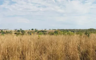 10sao-miguel-do-araguaia-230-alq