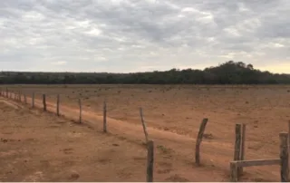 10sao-miguel-do-araguaia-280-alq