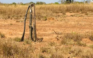 10sao-miguel-do-araguaia-380-alq