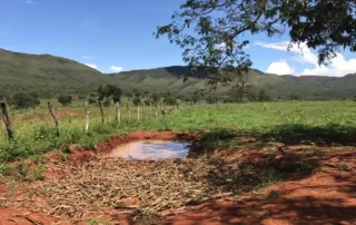 11-fazenda-municipio-de-niquelandia-614-hectares